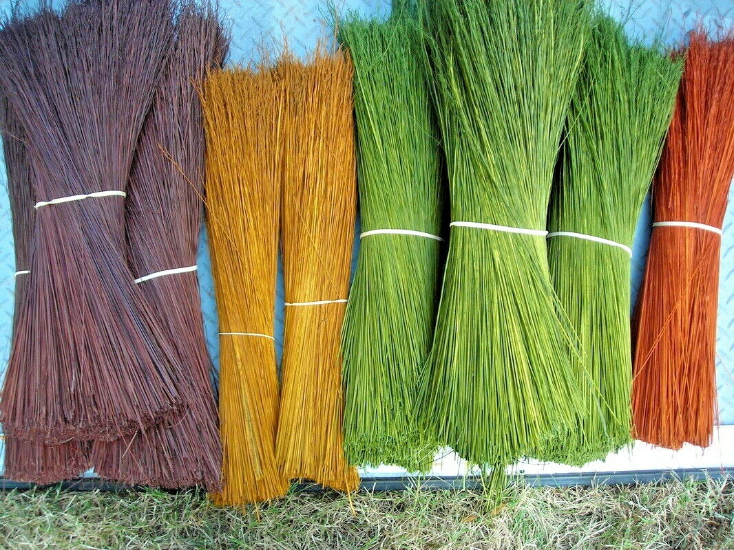 100+BROOM CORN Seeds Heirloom Sorghum Vegetable Grain Multi Color Crafts Easy