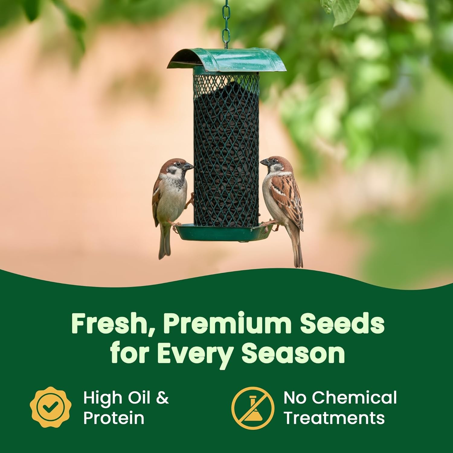 Wings Black Oil Sunflower Seeds Wild Bird Food- 15 Pounds | No Grow Seed | Bird