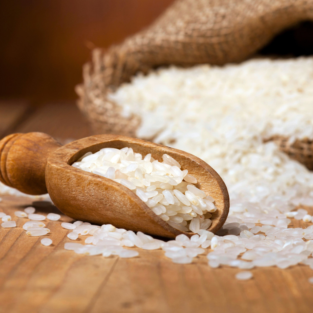 Fresh Yukimochi Rice Seeds | Short Grain | Heirloom Non-GMO | Grain Seeds