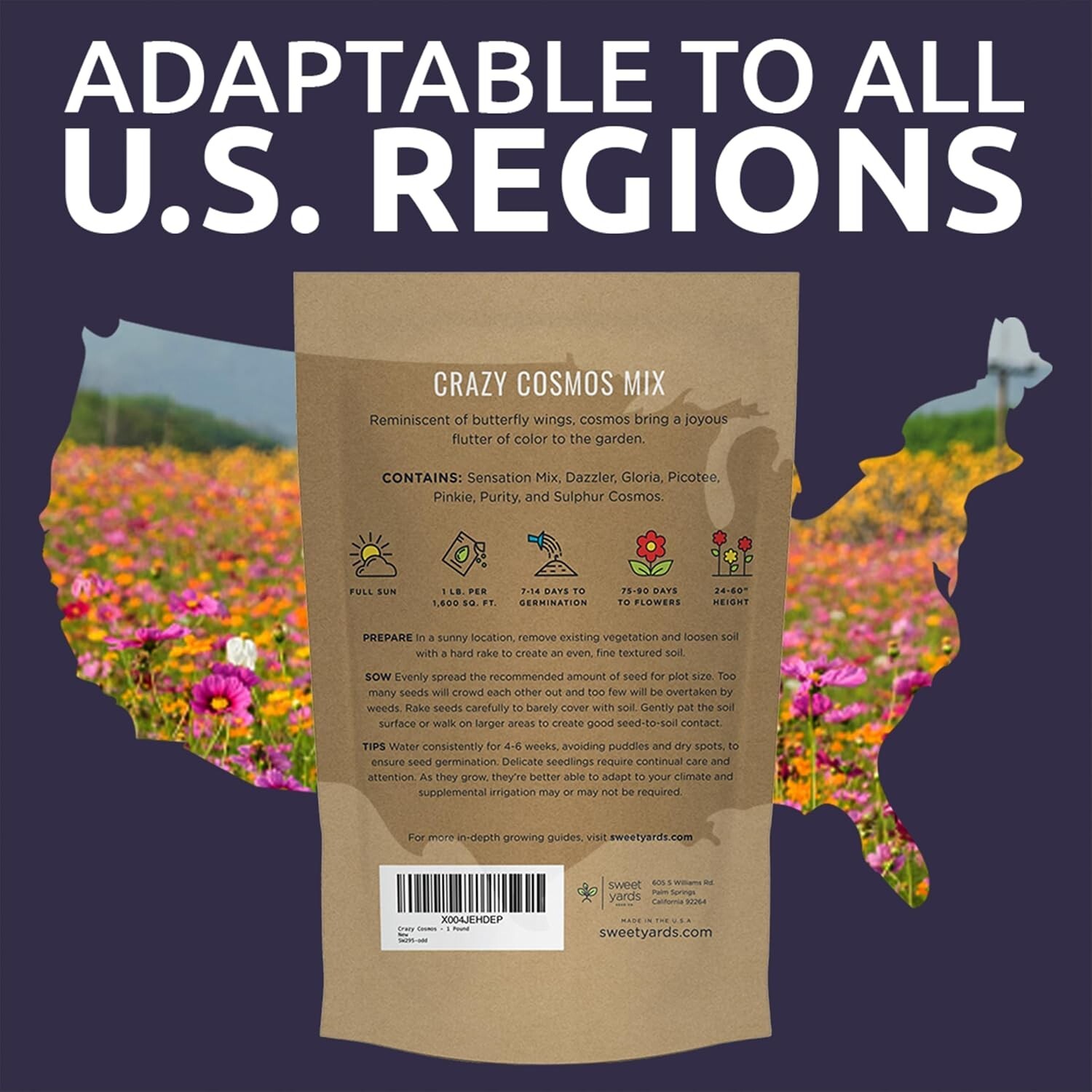Vibrant Crazy Cosmos Seeds – 1 lb Bag for Colorful Gardens, Over 80,000 Seeds