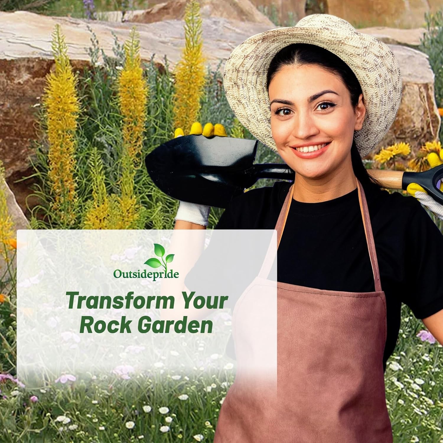 10000 Seeds Rock Garden Perennial Wild Flower Seed Mix