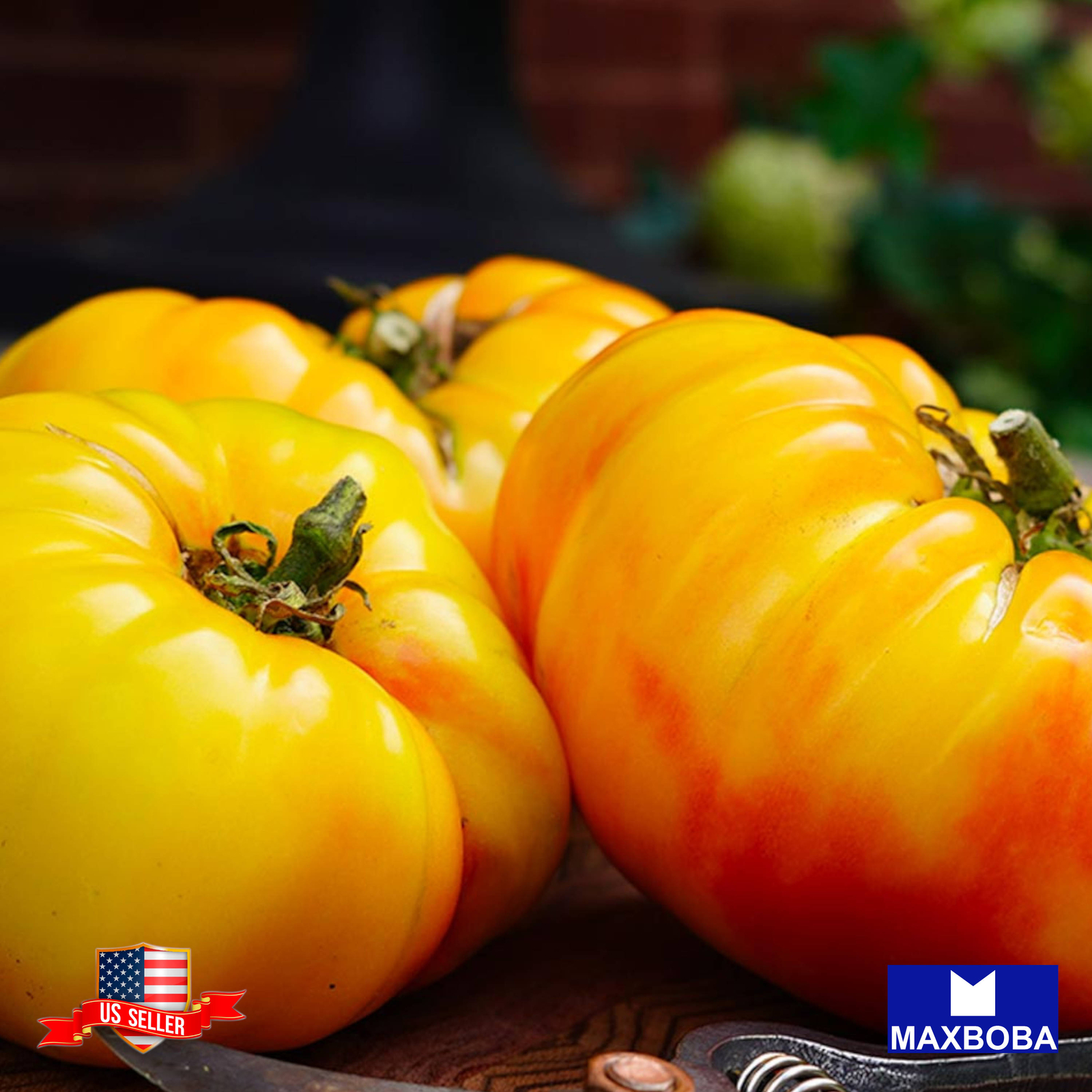 Tomato Fresh Seeds Pineapple Non-GMO Heirloom Vegetable