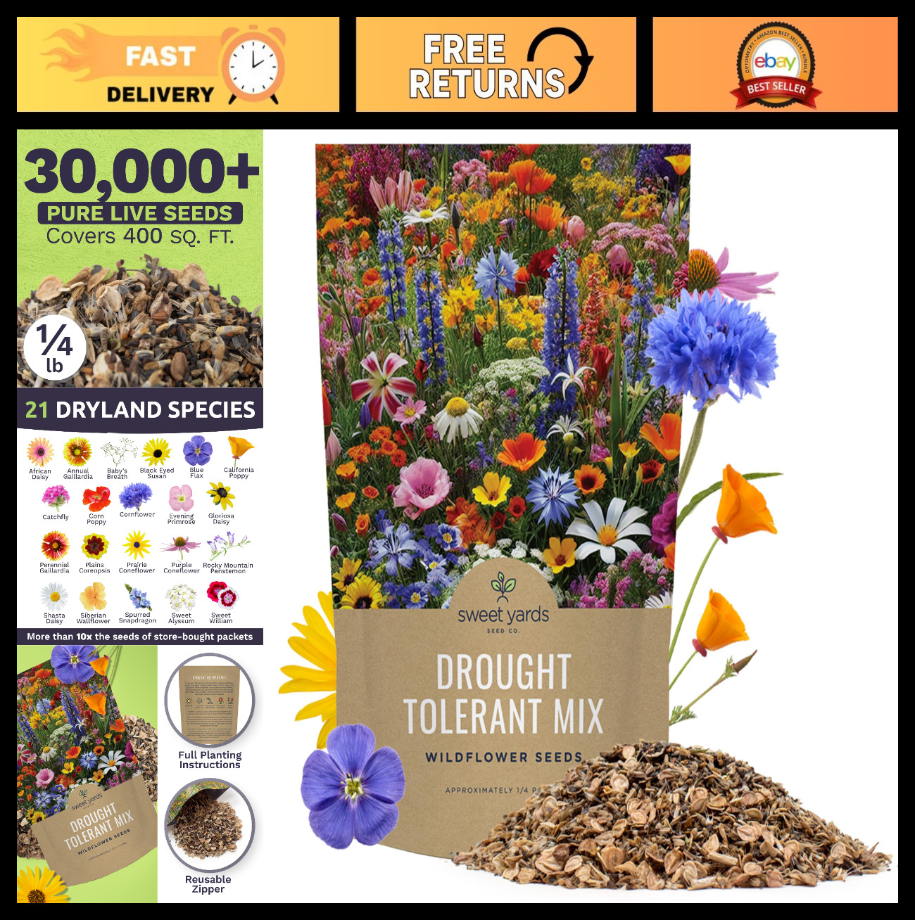 Drought Tolerant Wildflower Seed Mix – 30,000 Non-GMO Seeds, 21 Dryland Varietie