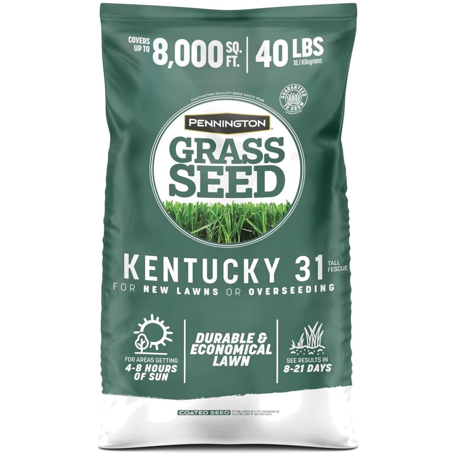 Drought-Resistant Turf with Fescue Grass Seed
