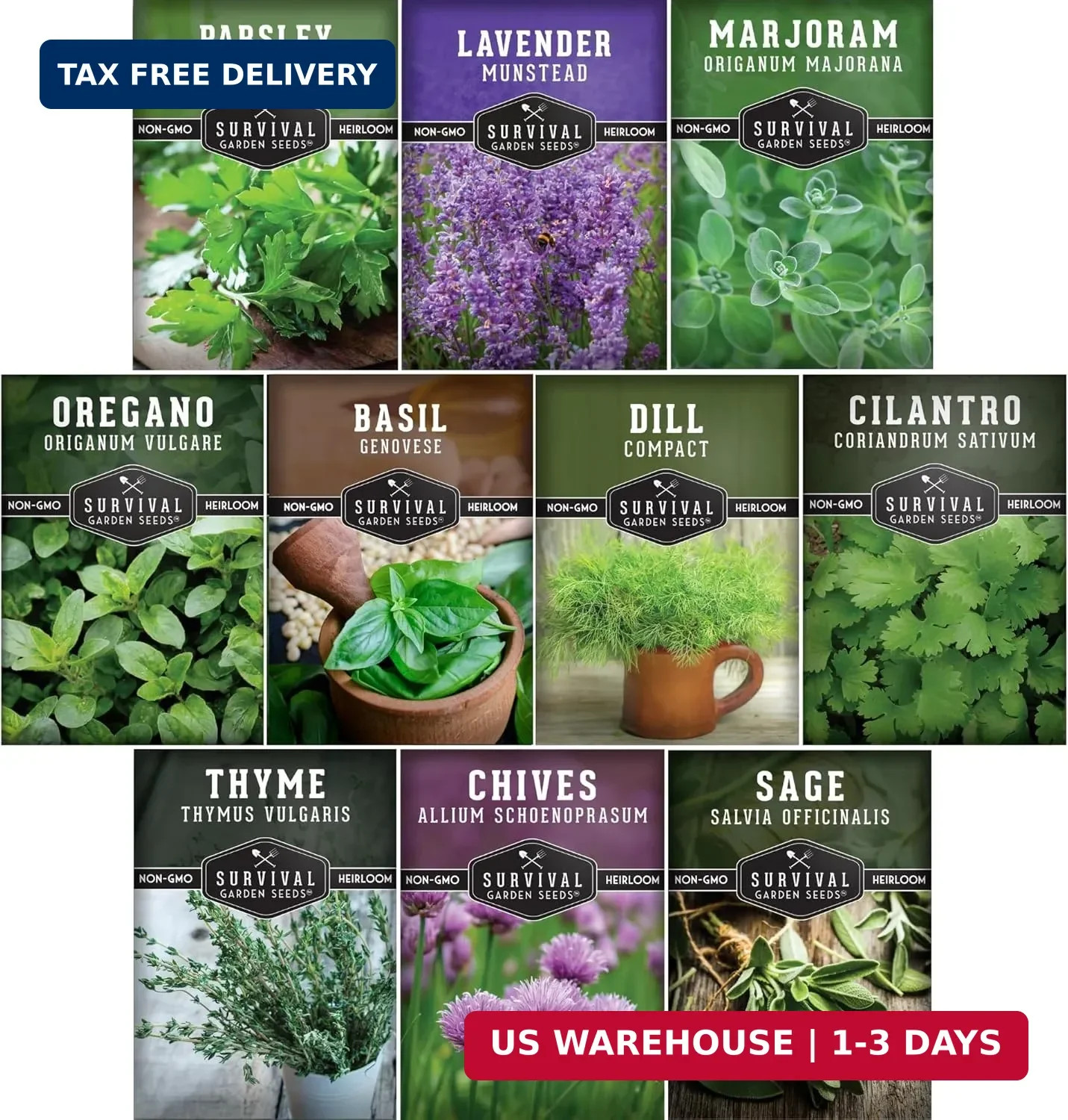 Herb Seeds Variety Pack | 10 Culinary Herbs for Planting – Basil, Cilantro, Lave