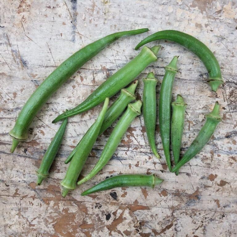 Emerald Okra Seeds, Velvet, 1 Oz (about 500 Seeds) , FREE SHIPPING