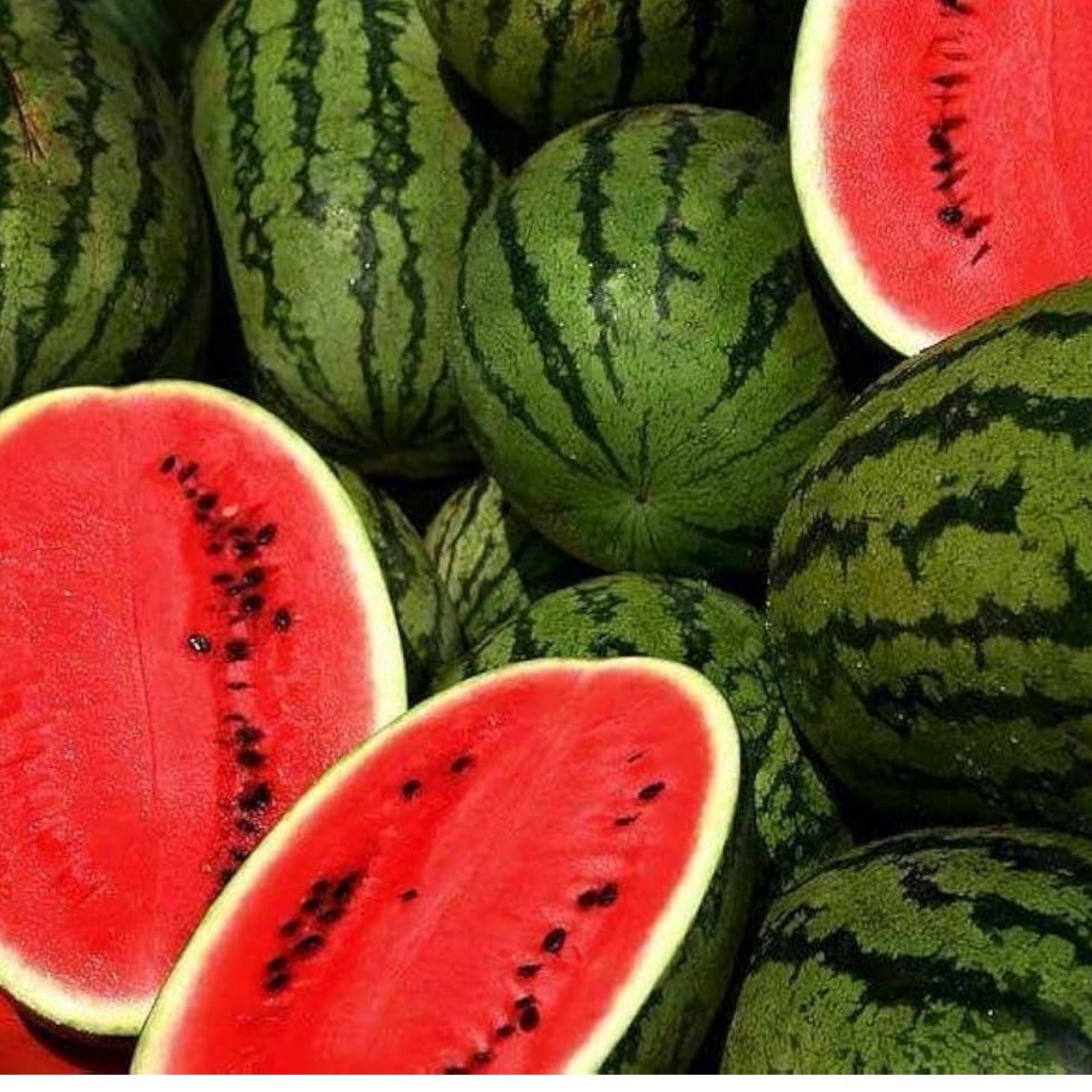 Jubilee Improved Watermelon 25+ Seeds | Heirloom / Non-GMO | Free S&H
