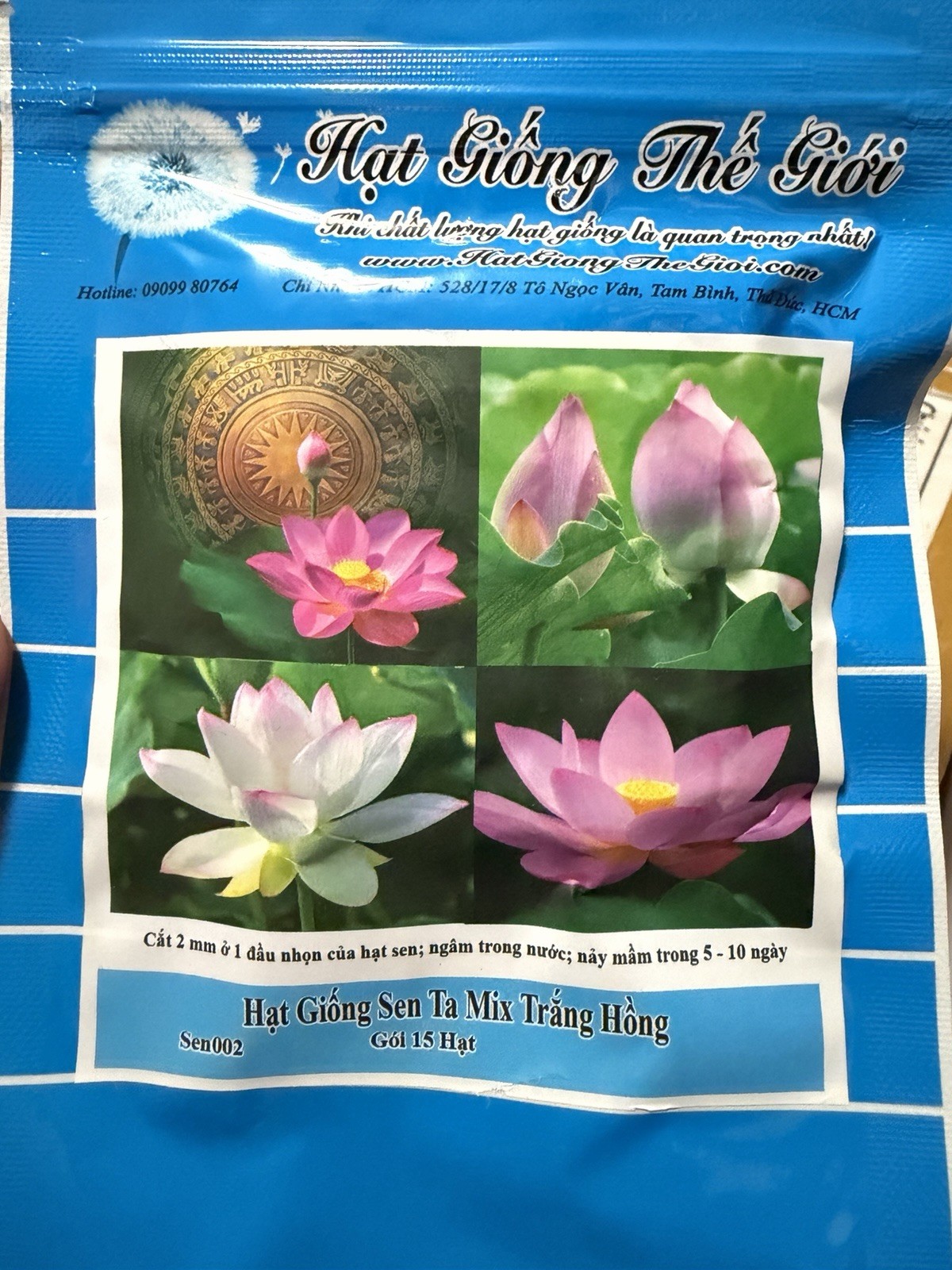 Hạt Sen Ta