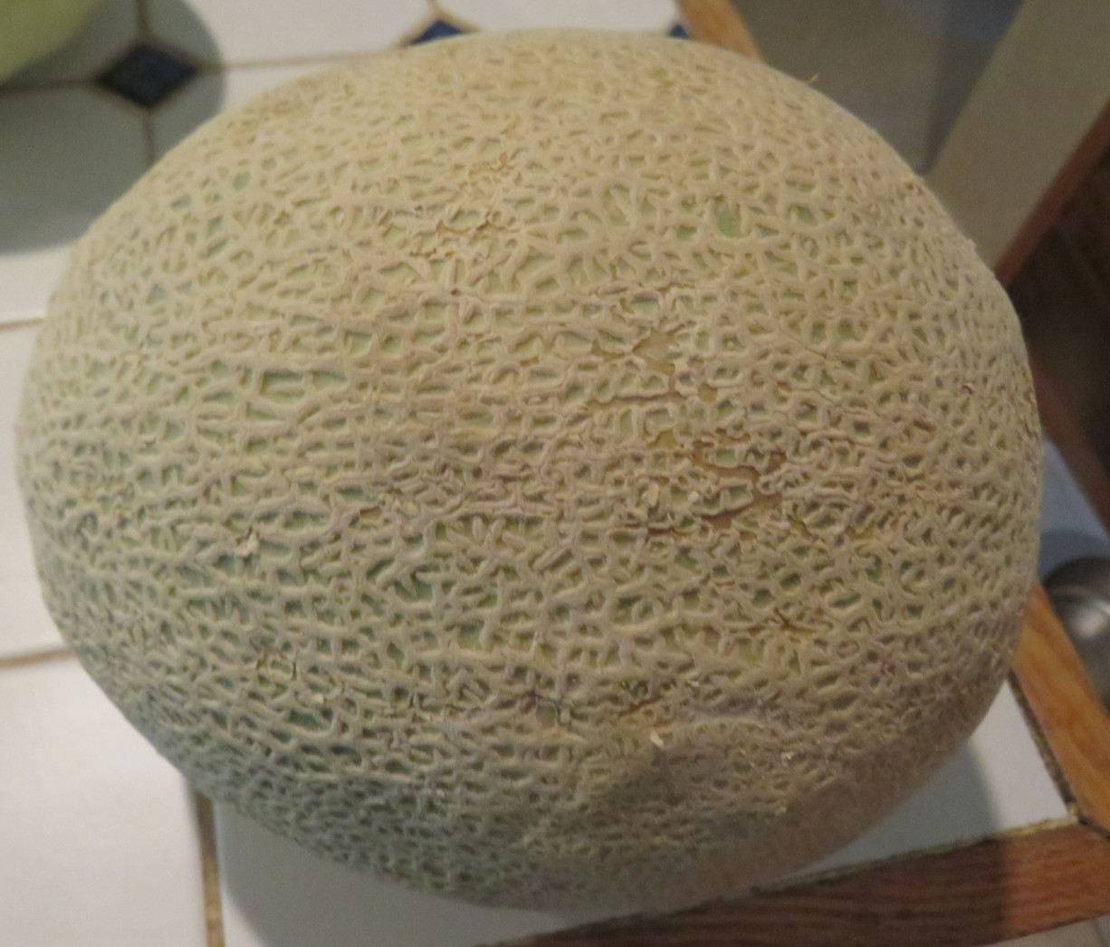 100 PLUS LARGER CANTALOUPE SEED NON-GEMO FREE SHIPPING