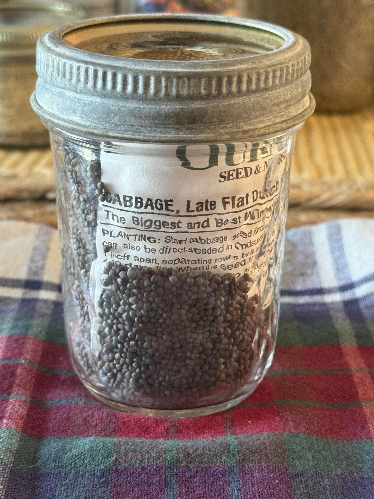Gurnsey’s Seeds In Kerr Mason Jar – Late Flat Dutch Cabbage 4262