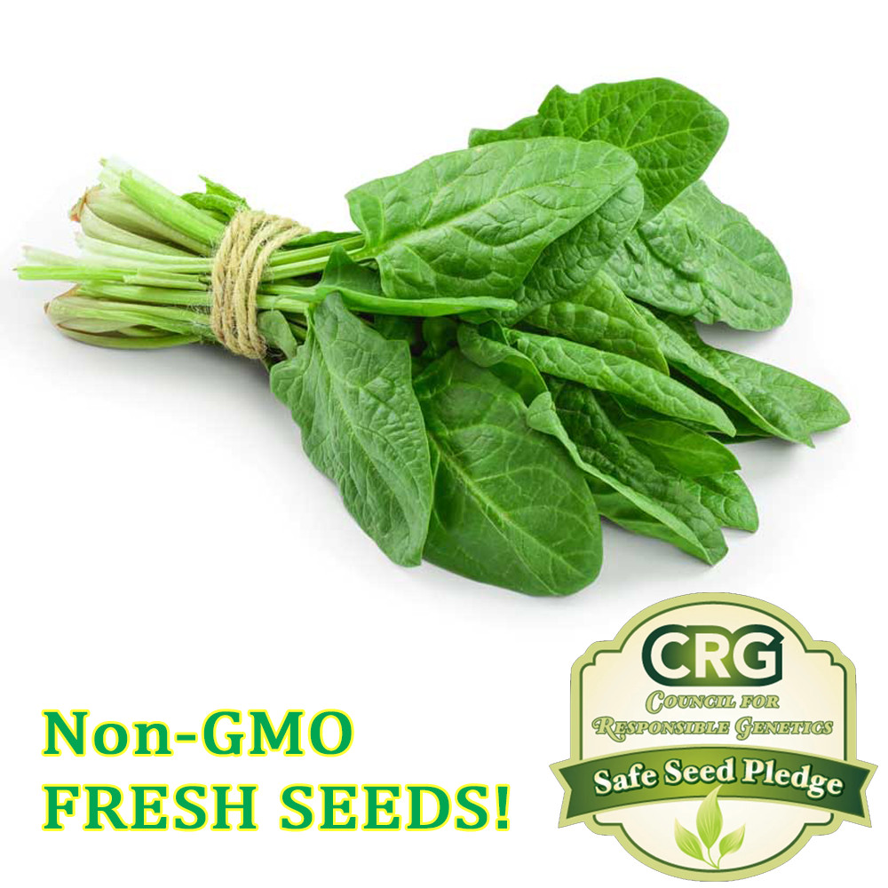 Spinach Seeds for Planting