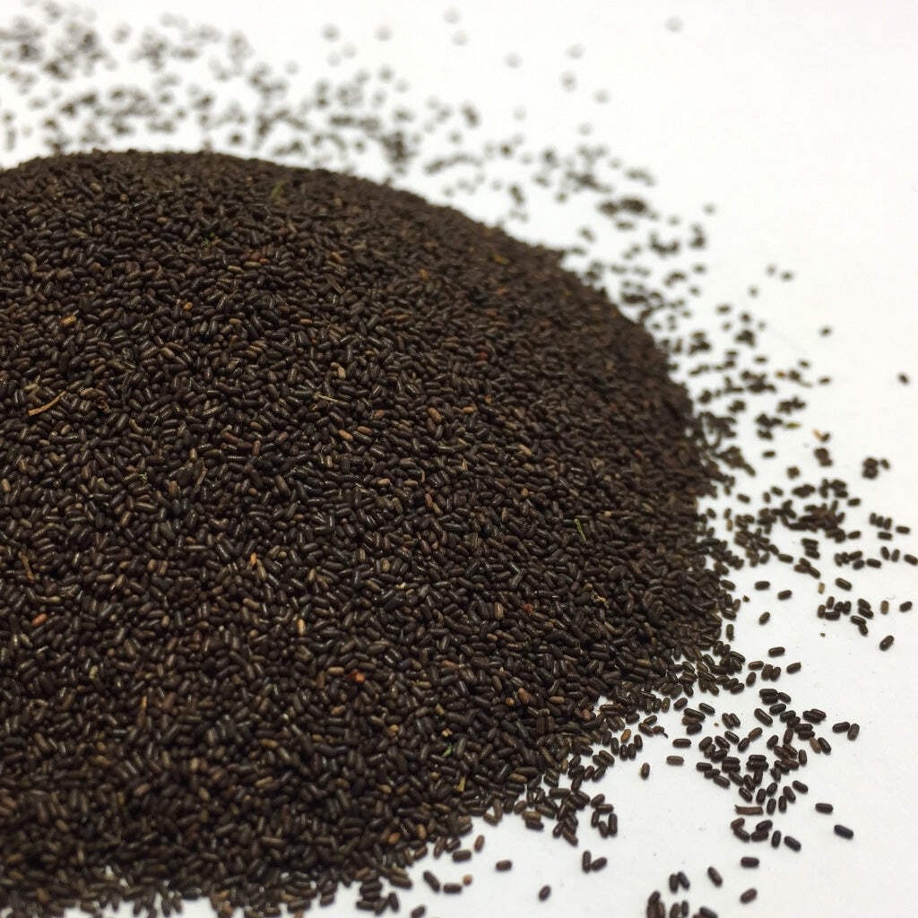 St. John’s Wort Seeds (Hypericum perforatum)~Traditional Herb Native Garden