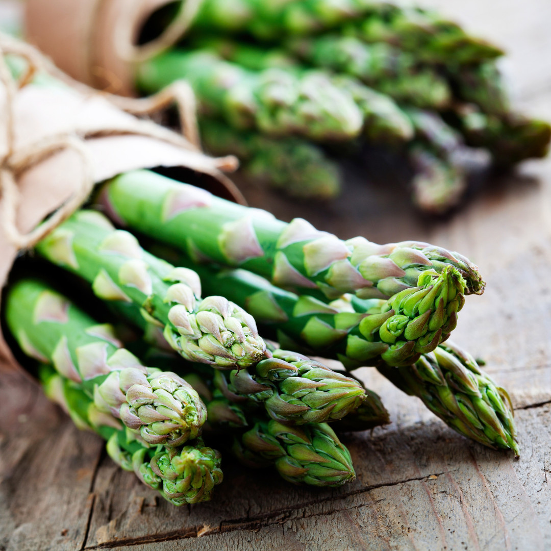 Fresh Asparagus Seeds | Mary Washington | Heirloom Non-GMO | Vegetable Seeds