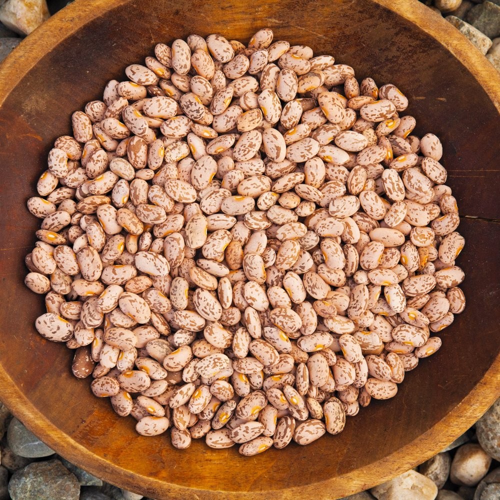 Organic Bean Seeds Appr. 115 Pinto Dry Bean Heirloom Vegetable Seeds Certifie…