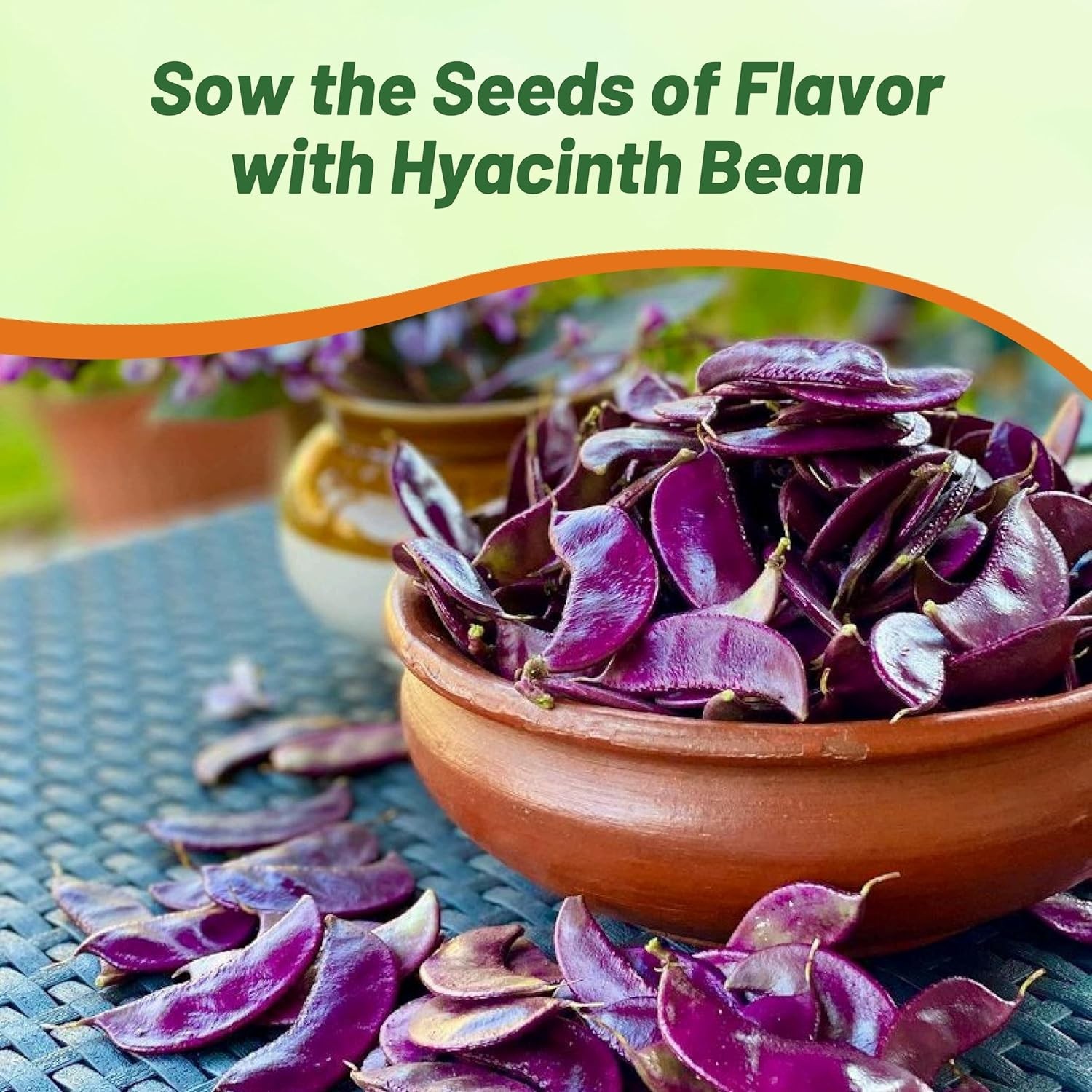 Vibrant Red Hyacinth Beans – 100 Seeds for Sunlit Gardens, Attracts Pollinators