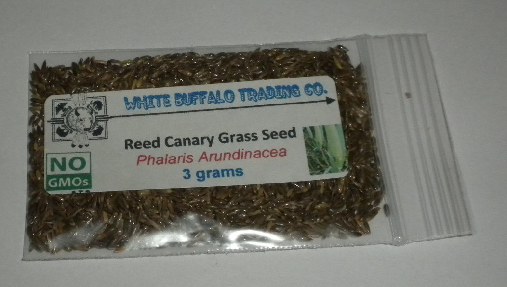 ~3,000 Phalaris Arundinacea Seeds, Reed Canary Grass, 3 grams entheogen USA grow