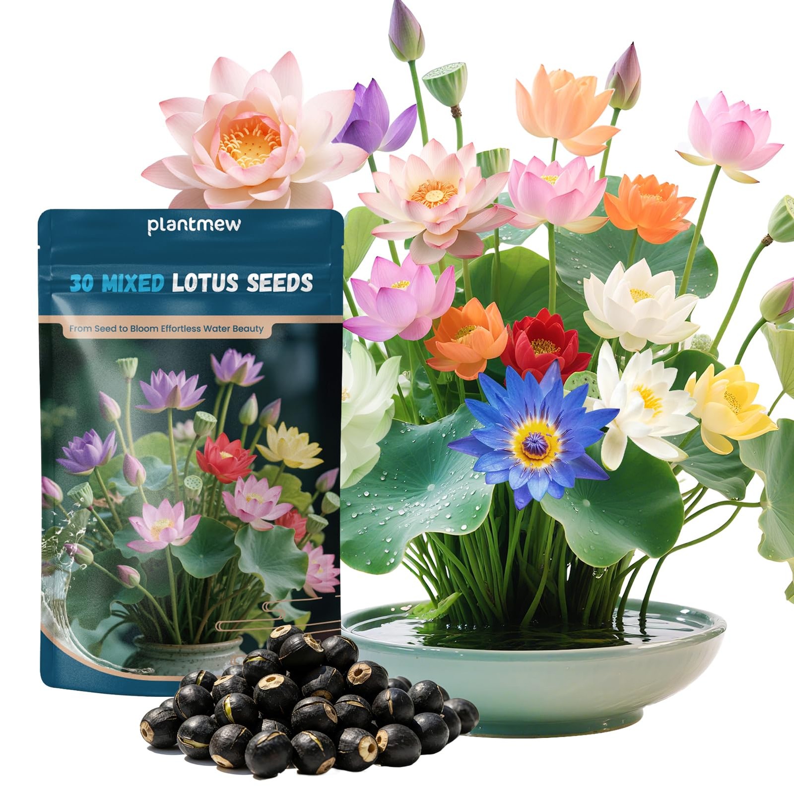 Lotus Seeds for Planting in Water – 30 PCS Mixed Bowl Lotus Seeds, Water Lily…