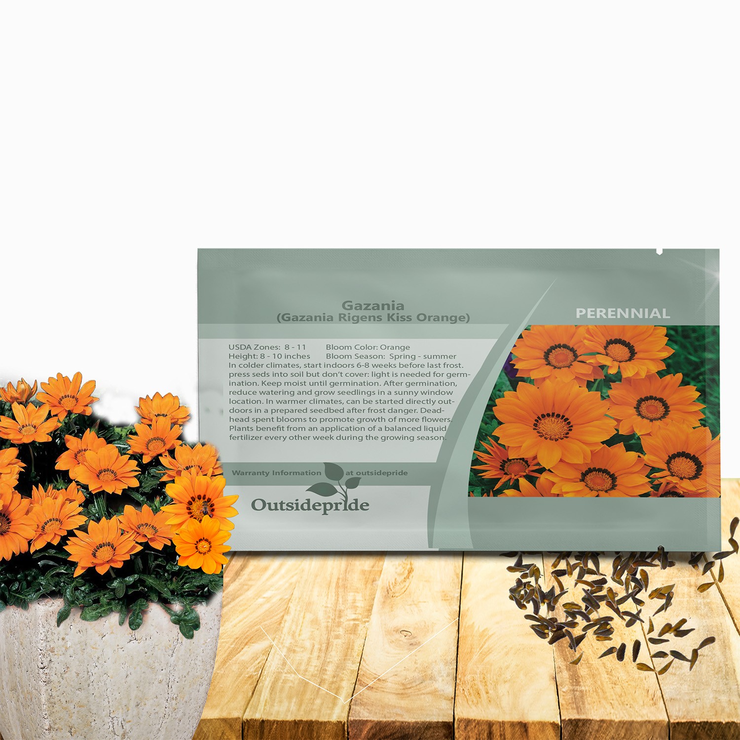 25 Seeds Drought Tolerant Treasure Flower Gazania Kiss Orange Ground Cover