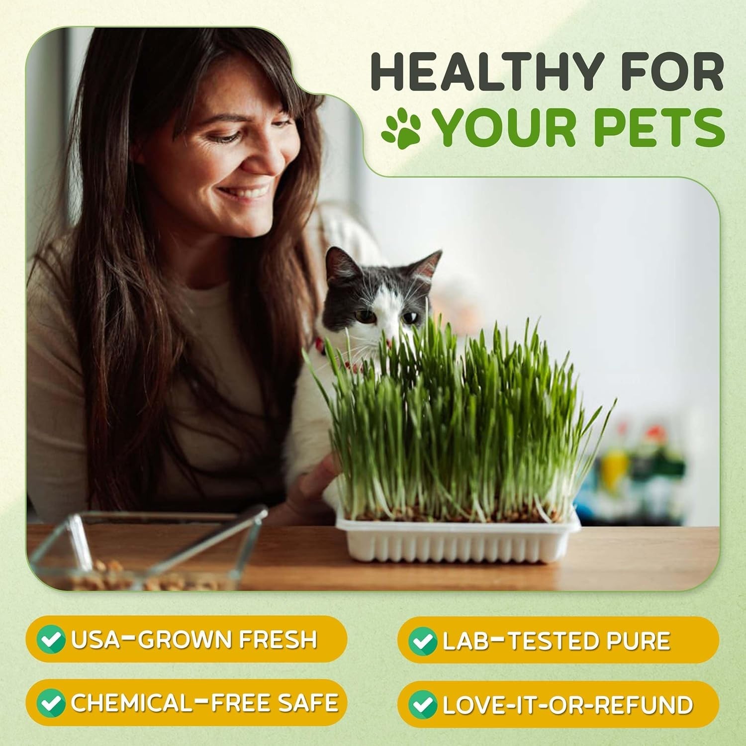 Cat Grass for Indoor or Outdoor Cats, 1lb Wheatgrass – , 100% Chemical Free B…
