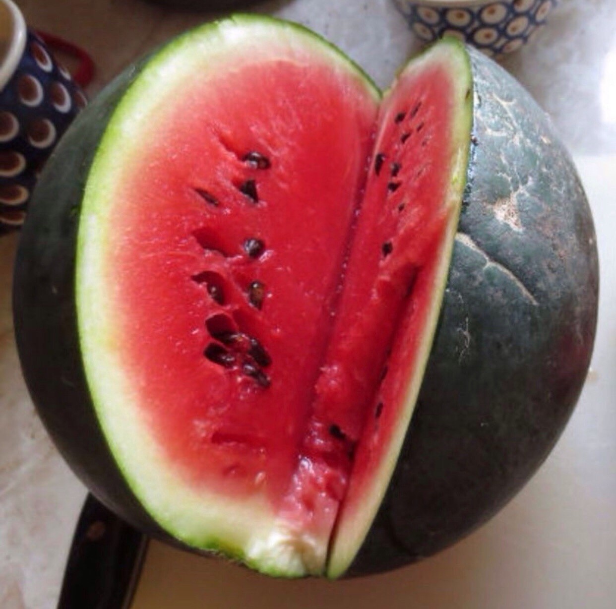 Watermelon – Sugar Baby Seeds | Heirloom | Non-GMO | 25+ Seeds