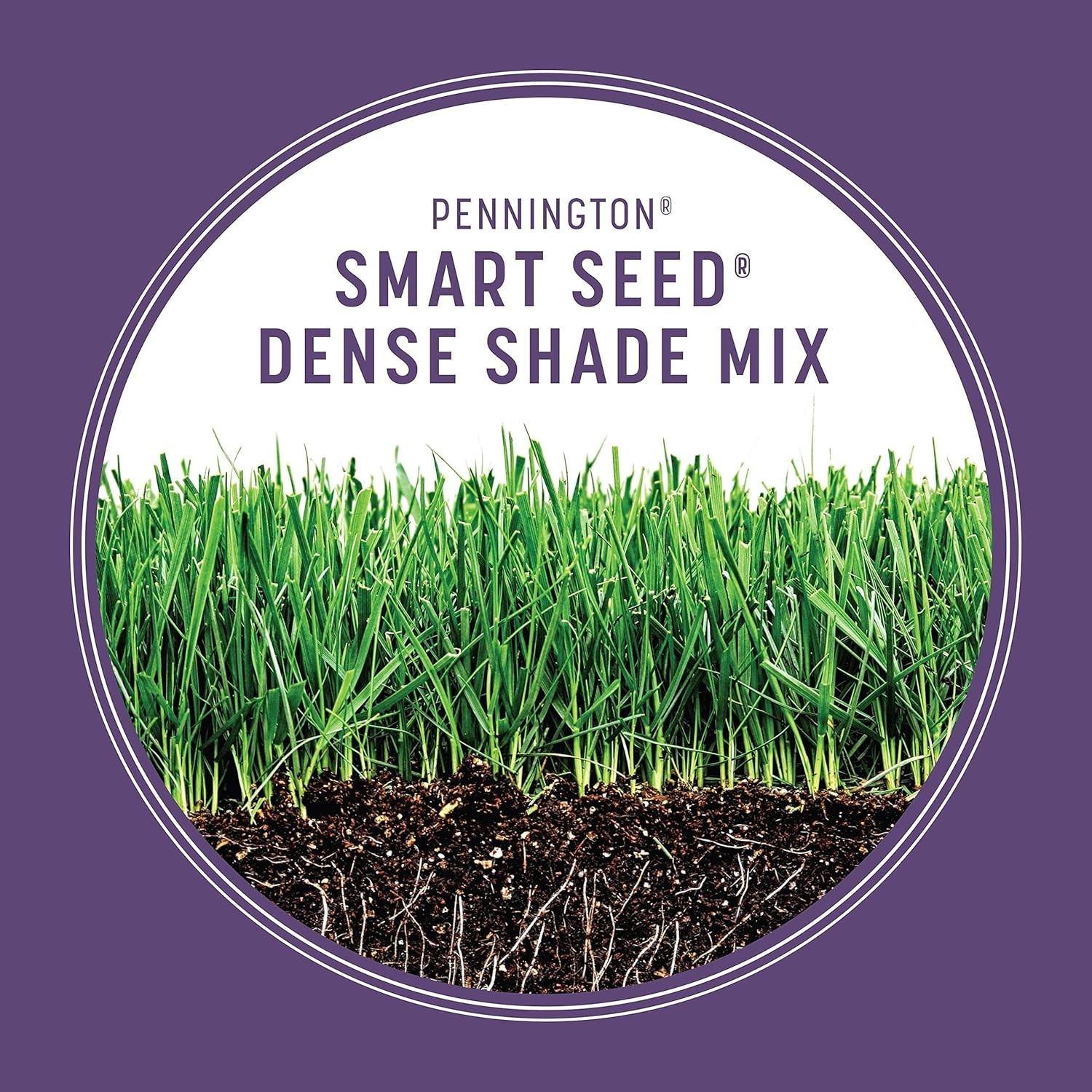 Grass Seed for Shade 7 lb Mix Tall Fine Fescue Low Light Drought Resistant Lawn