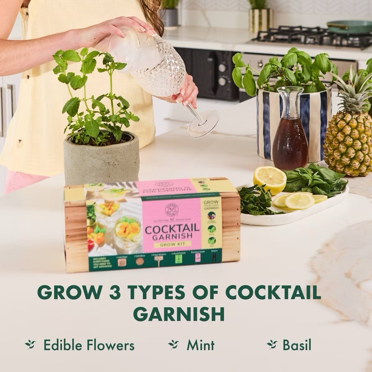 Garden Republic Cocktail Garnish Grow Kit Mint Basil Edible Flowers Seeds