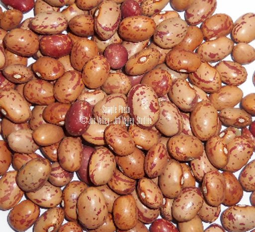 Vegetable Seeds-French Horticultural Beans -30 Seeds-Taylors Dwarf Dry Shelling