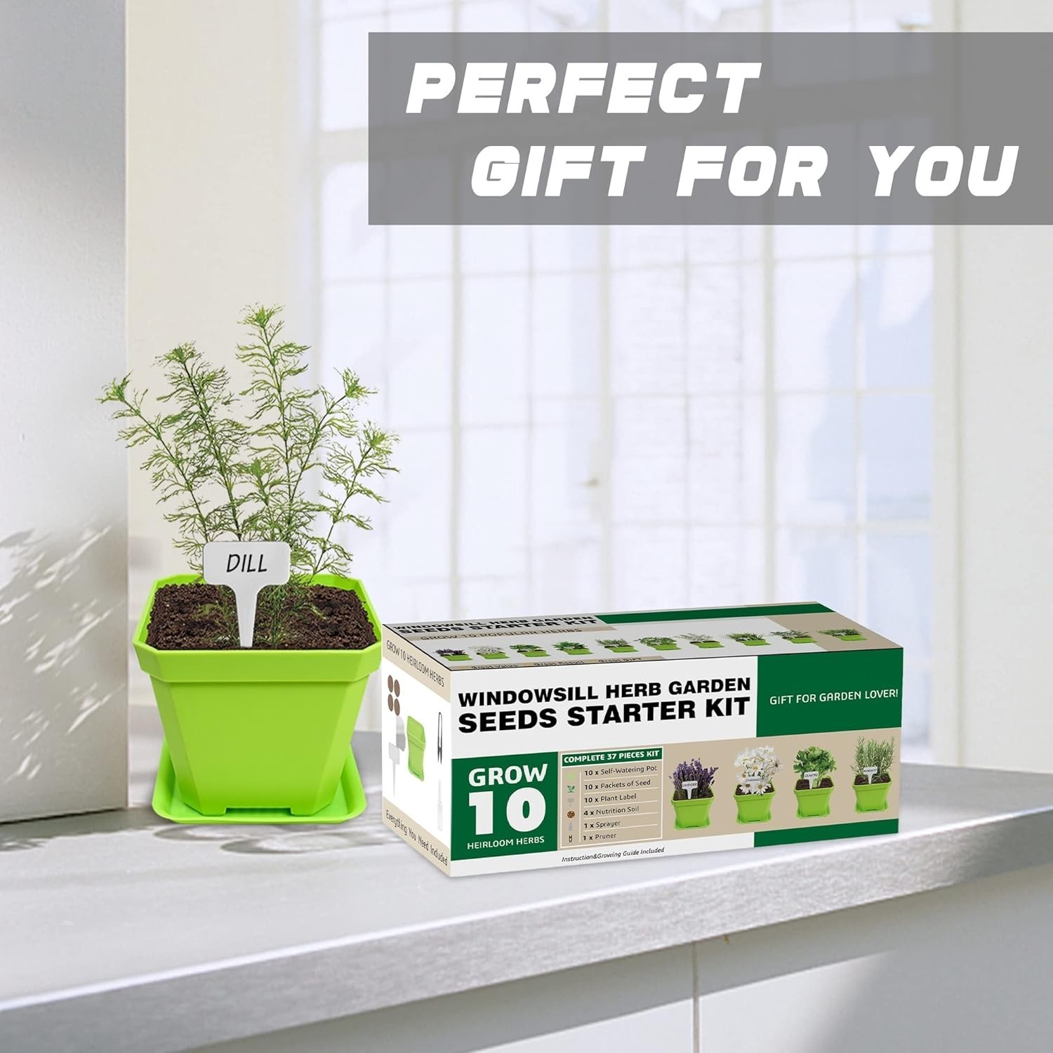 10 Herb Seeds Garden Starter Grow Kit with Green Pots, Markers, Nutritional S…