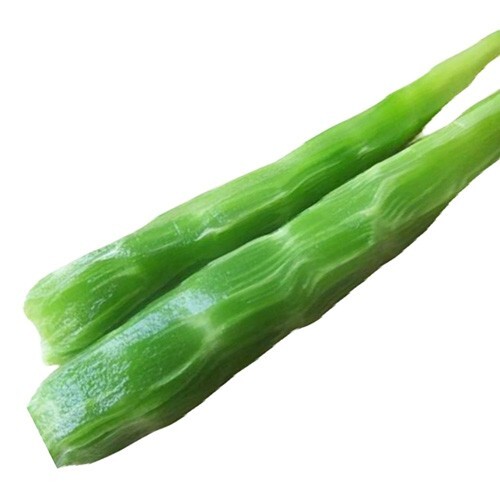 500+ Green Stem Celtuce Seeds 青皮青肉莴笋 2022新种子NEW!