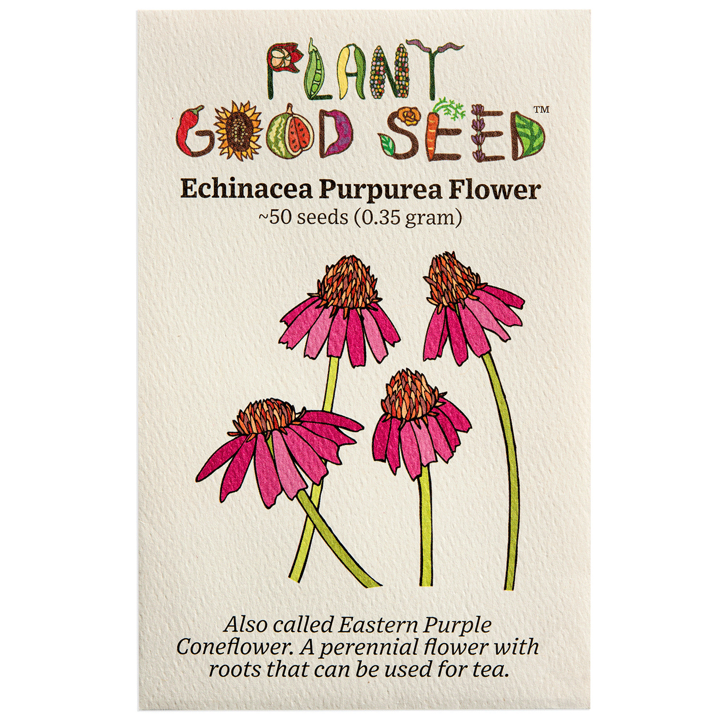 Echinacea Purpurea Flower Seeds