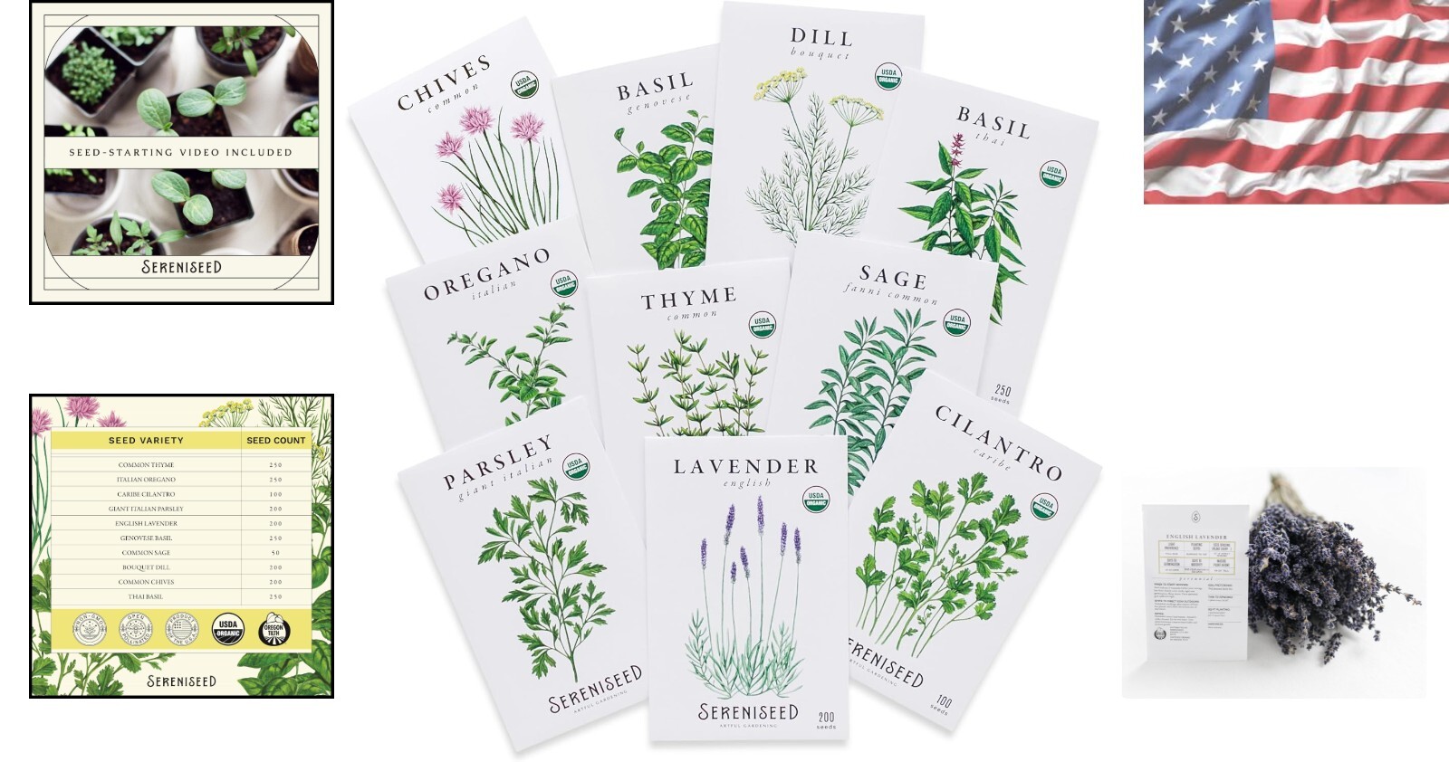 Fresh Culinary Herb Seeds 10-Pack – Organic, Heirloom Seeds with Planting Guide
