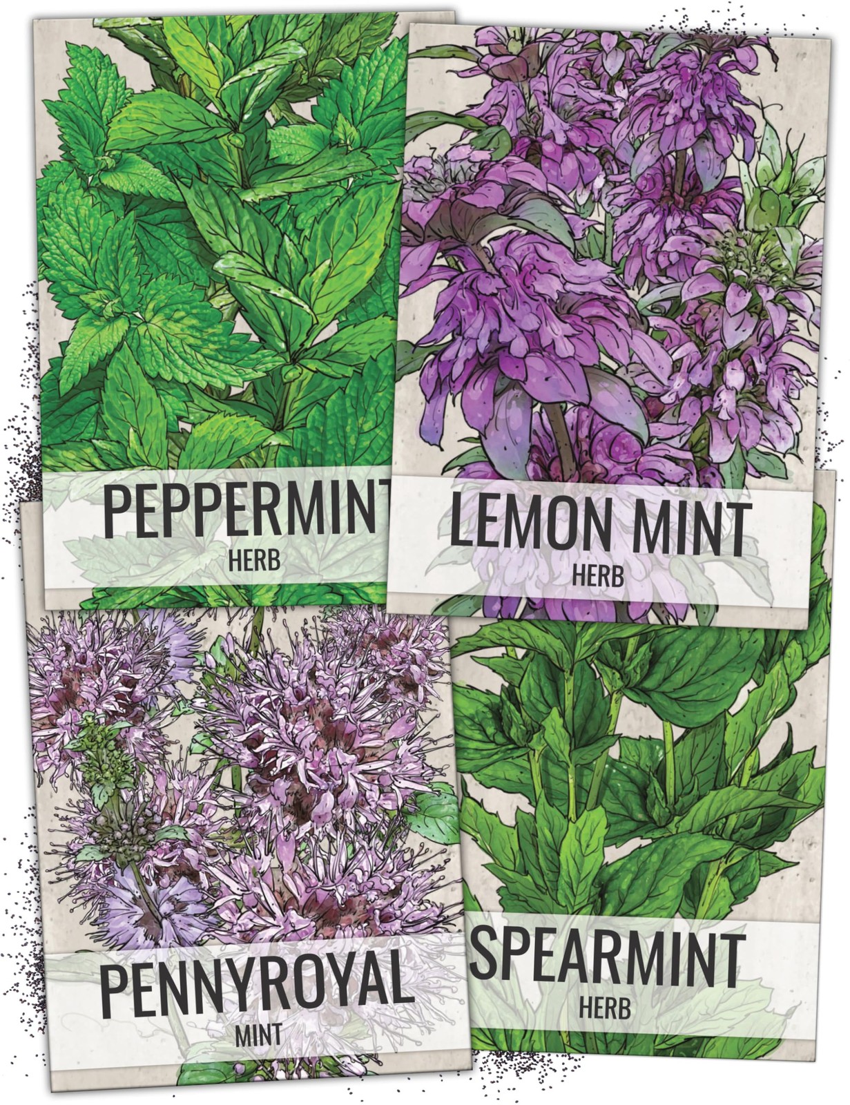 Mint Seeds for Planting Spearmint, Peppermint, Lemon Mint & Pennyroyal NonGM…