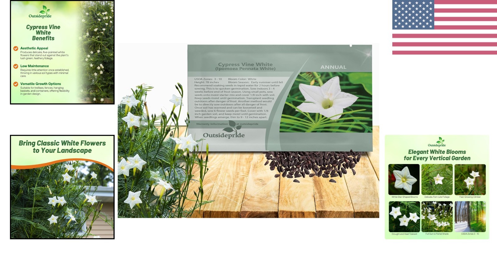 White Cypress Vine Seeds – 100 Pcs Annual Flower Seeds with Nectar-Rich, Star…