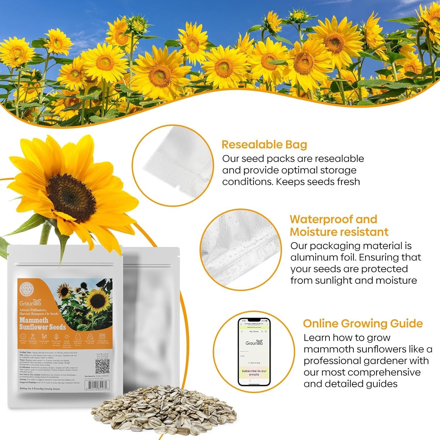 Giant Mammoth Sunflower Seeds – 6-12 FT Blooms, Drought Resistant, 300+ Seeds