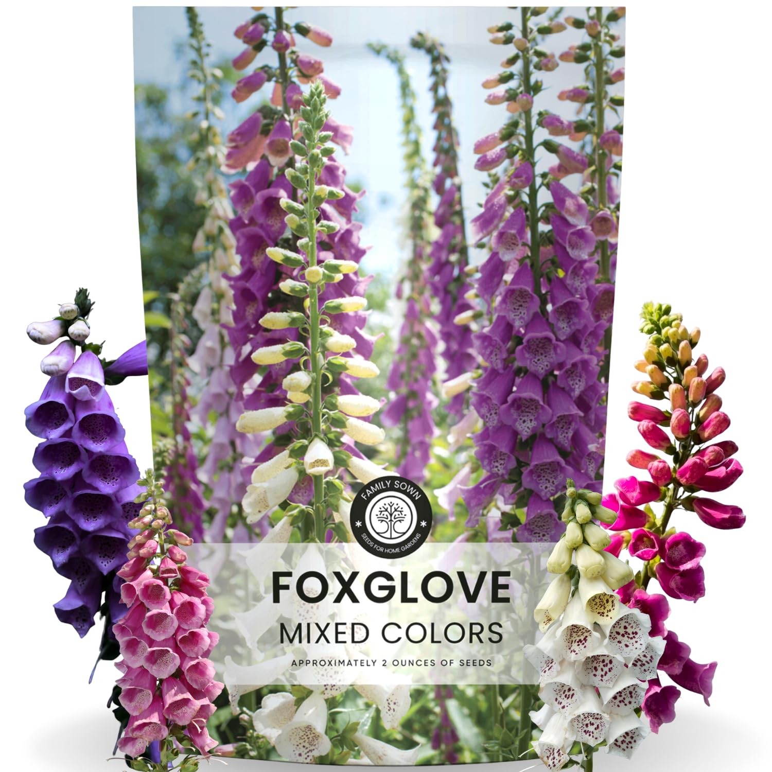 Mixed Color Foxglove Seeds – 10,000 Seeds for Planting – 2 Ounce Pouch