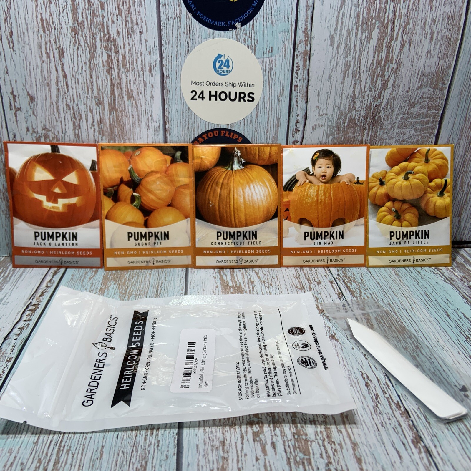 5 Pks.Pumpkin Seeds.| Heirloom, Non-GMO, Sugar Pie,Big Max,Jack Be Little,Jackol