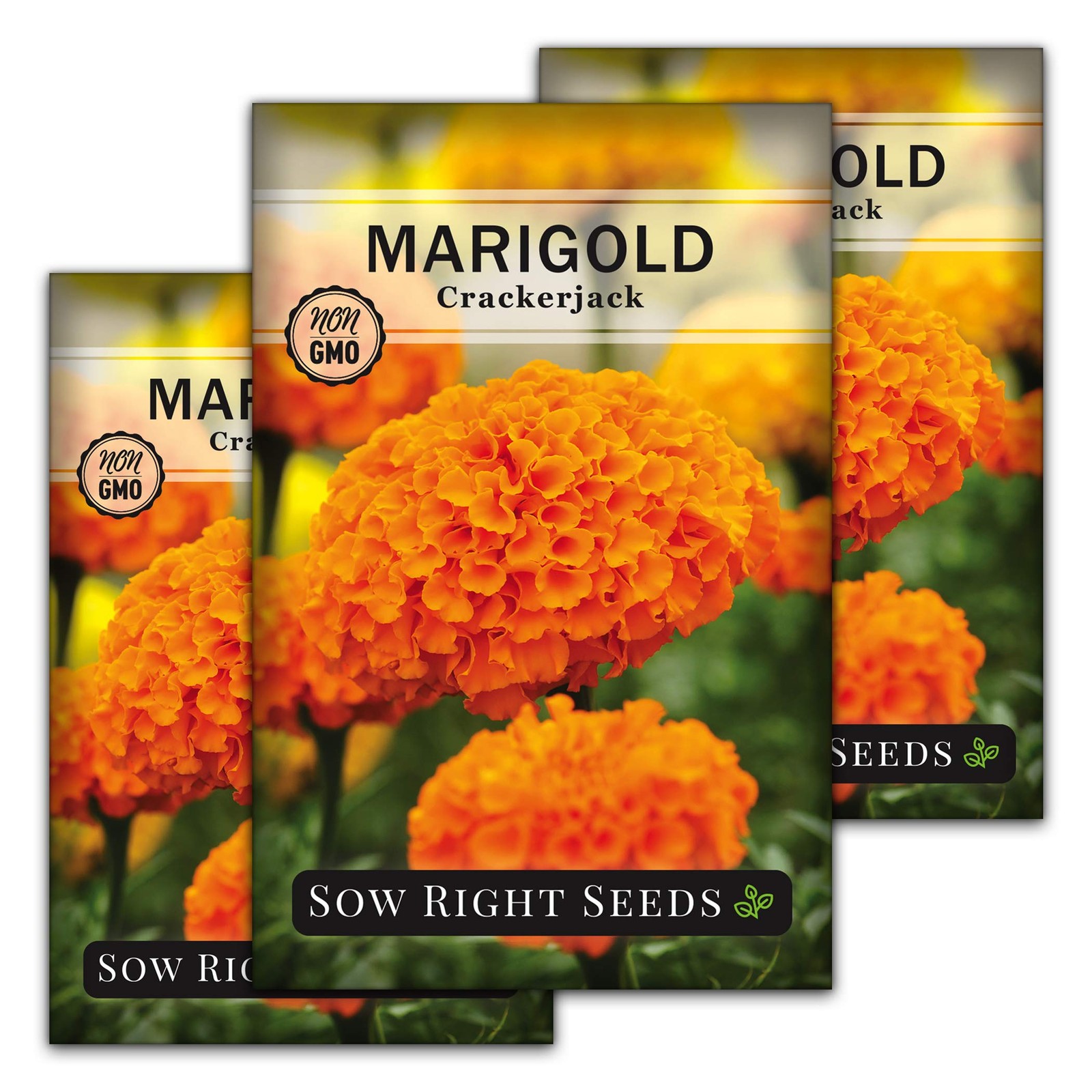Crackerjack Marigold Seeds for Planting Outdoors High Yield African Marigol…