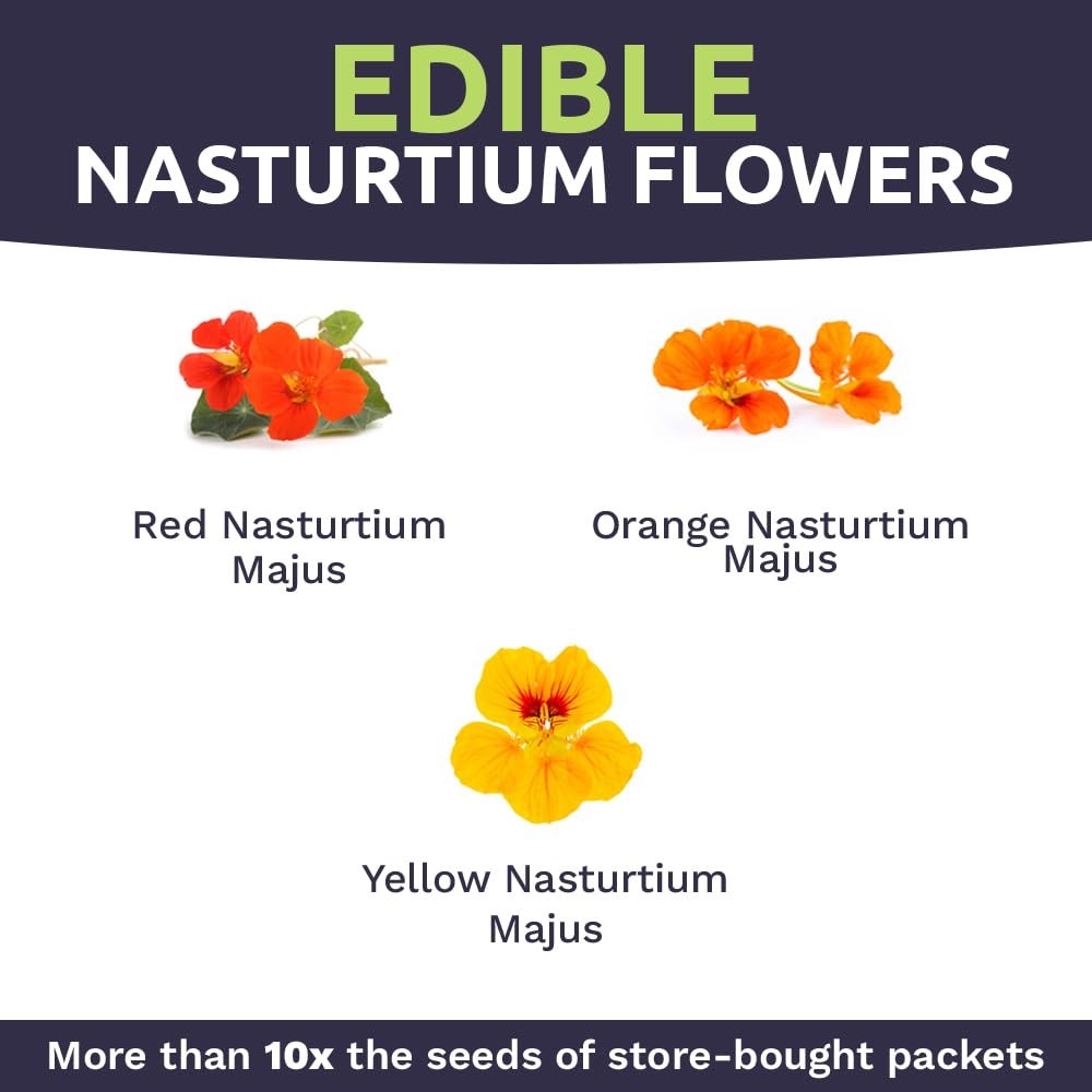 Mixed Colors Nasturtium Seeds, Bulk 1/4 Pound Bag, Over 900 Non-GMO Seeds