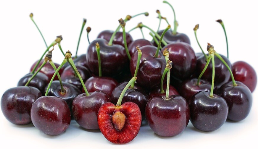 Dark Red Bing Cherry, Prunus Avium – 15 seeds 2023 – USA