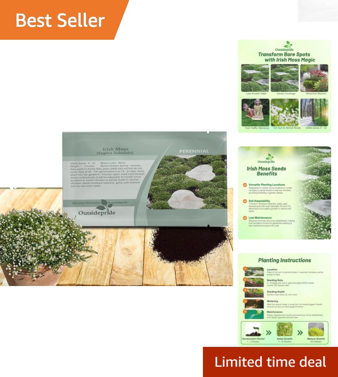 5000 Irish Moss Seeds – Ideal Mat-Forming Lawn Alternative for Gardens