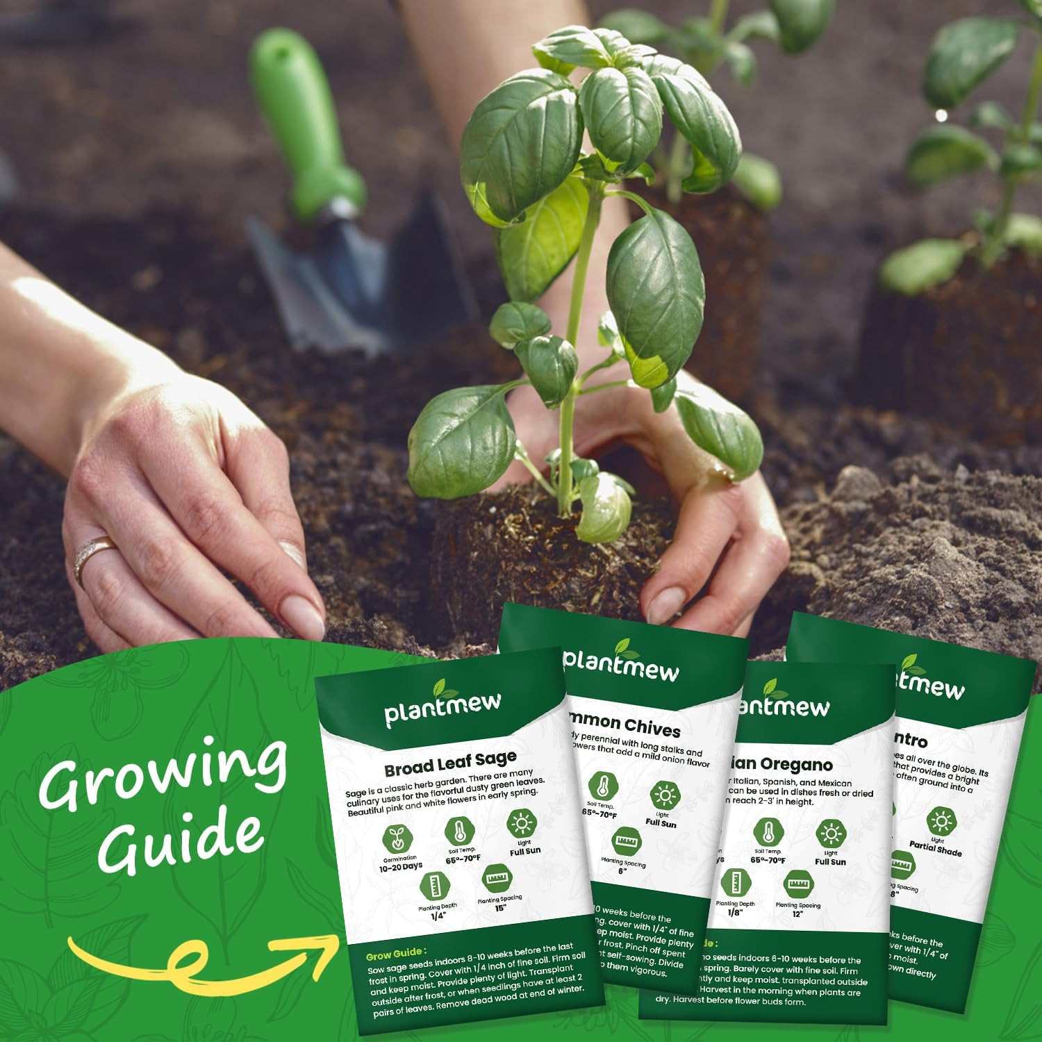 10 Herb Seeds Variety Pack – 7,000+ Heirloom Non-Gmo Seeds – Basil, Cilantro, La