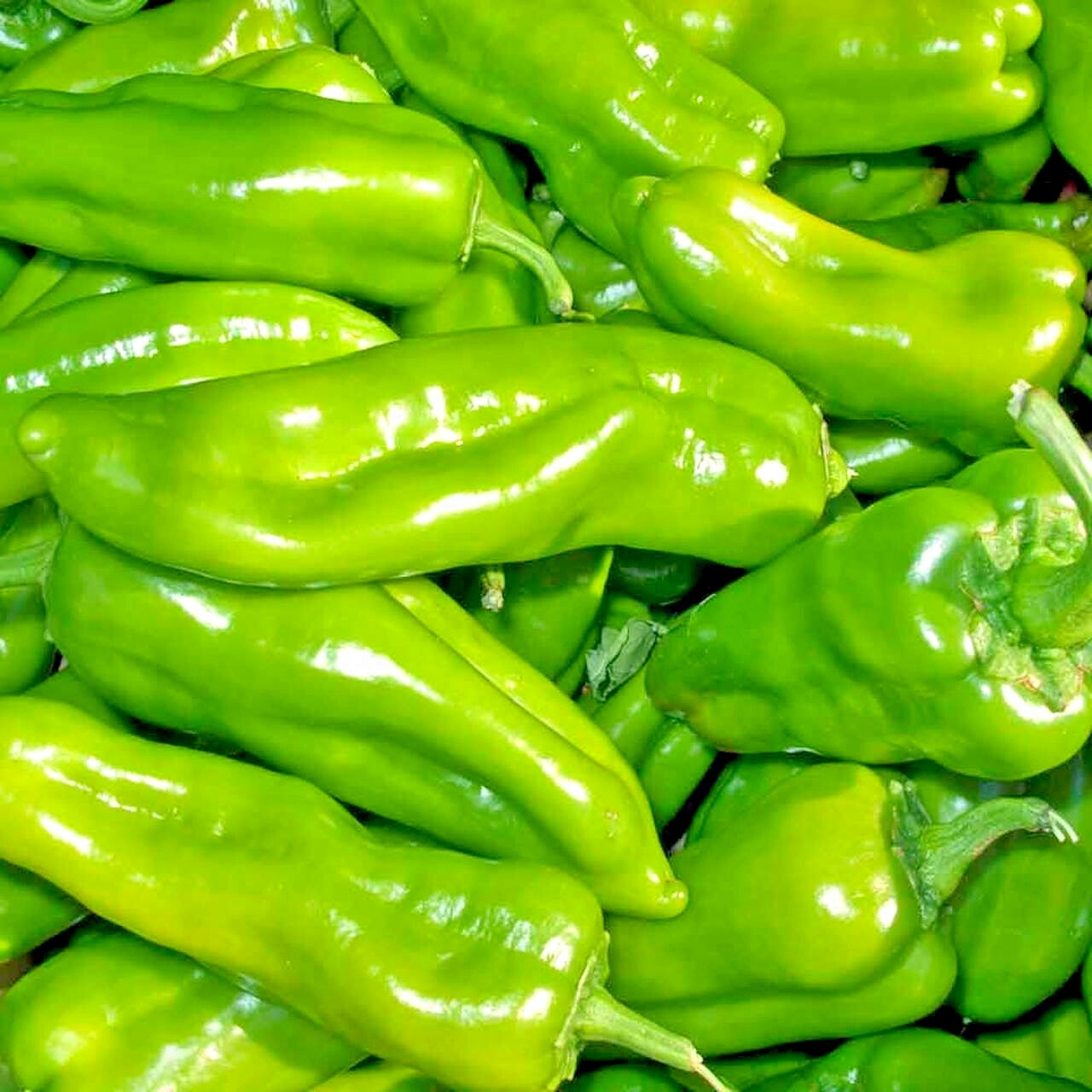 61+CUBANELLE Sweet PEPPER Seeds Organic Vegetable Garden Patio Container Easy