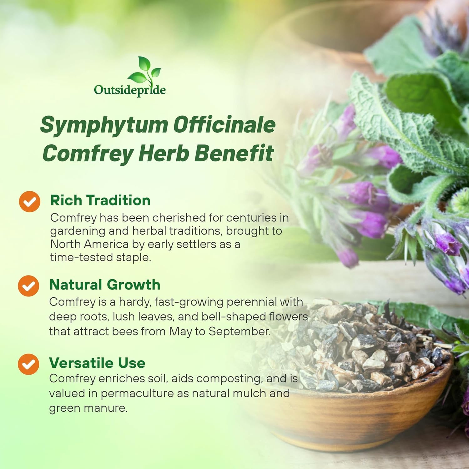 100 Seeds Symphytum Officinale Comfrey Herb Garden Plant Seeds For Planting