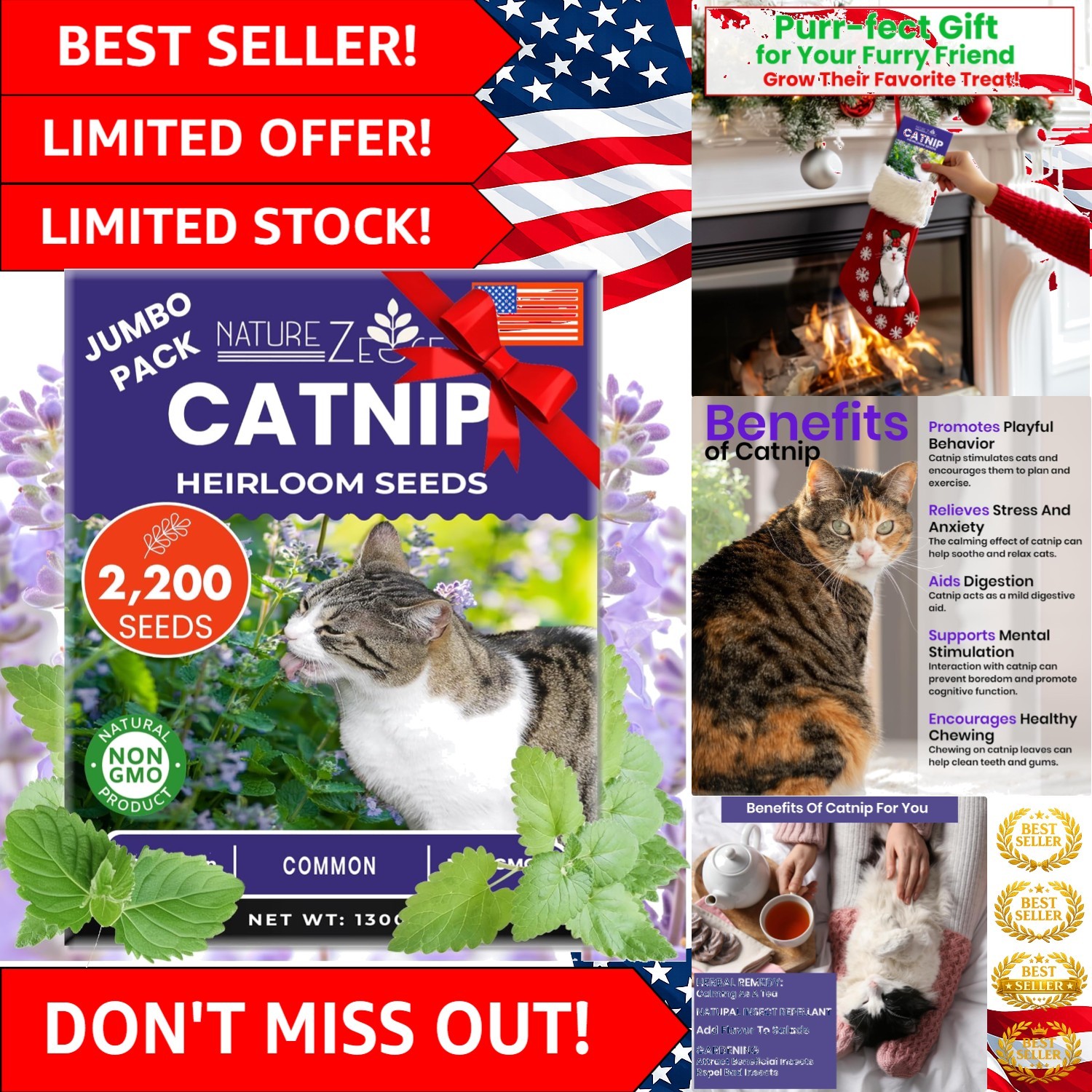 Freshly Harvested Catnip Seeds – 2200+ Aromatic Seeds for Cat Gardens