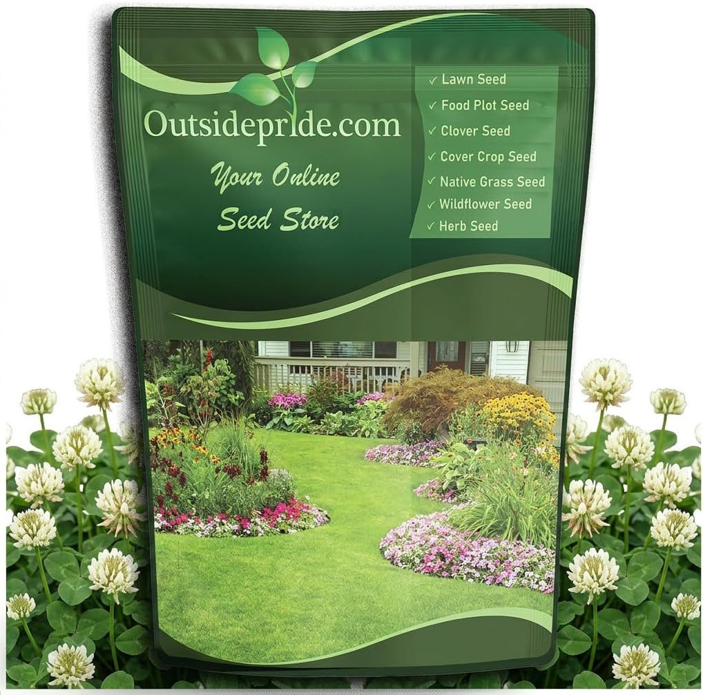 Perennial White Dutch Clover Seed – 5 Lbs. Nitrocoated, Inoculated Clover Seeds