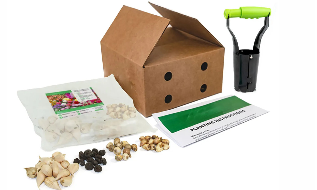 100 Flower Bulbs Butterfly Bee Bird Pollinator Garden Mix 4 Varieties Gift Set