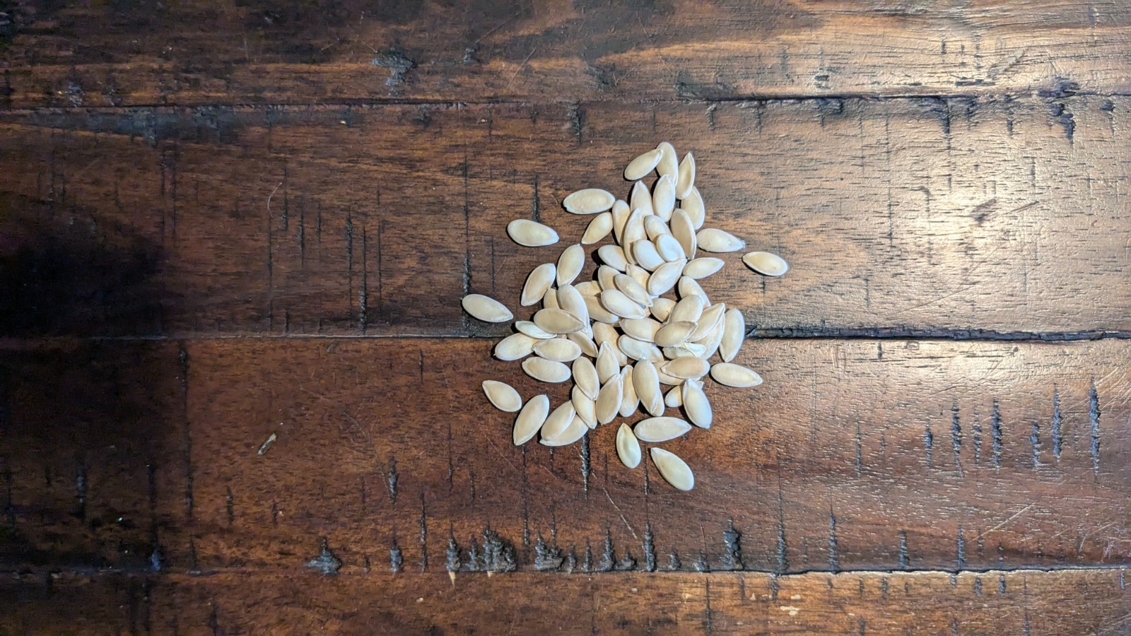 36 Seeds Collective Farm Woman (Kolkhoznitsa) Cantaloup Super Sweet NON-GMO
