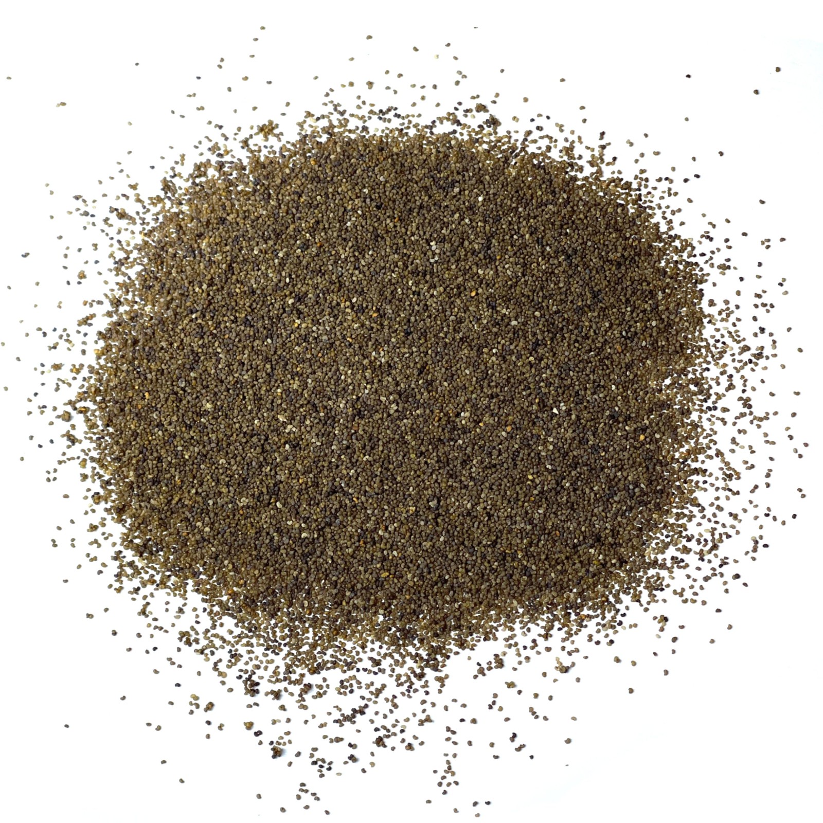 Needs Shirley Mixed Poppy Seeds for Planting Double Mixture | 100,000+ Heirlo…