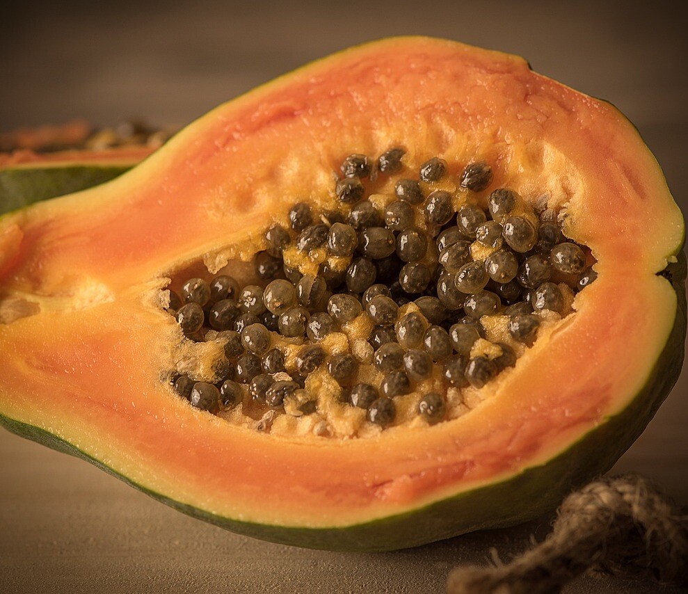 40 Papaya Seeds Carica Lechosa Organic Fruit