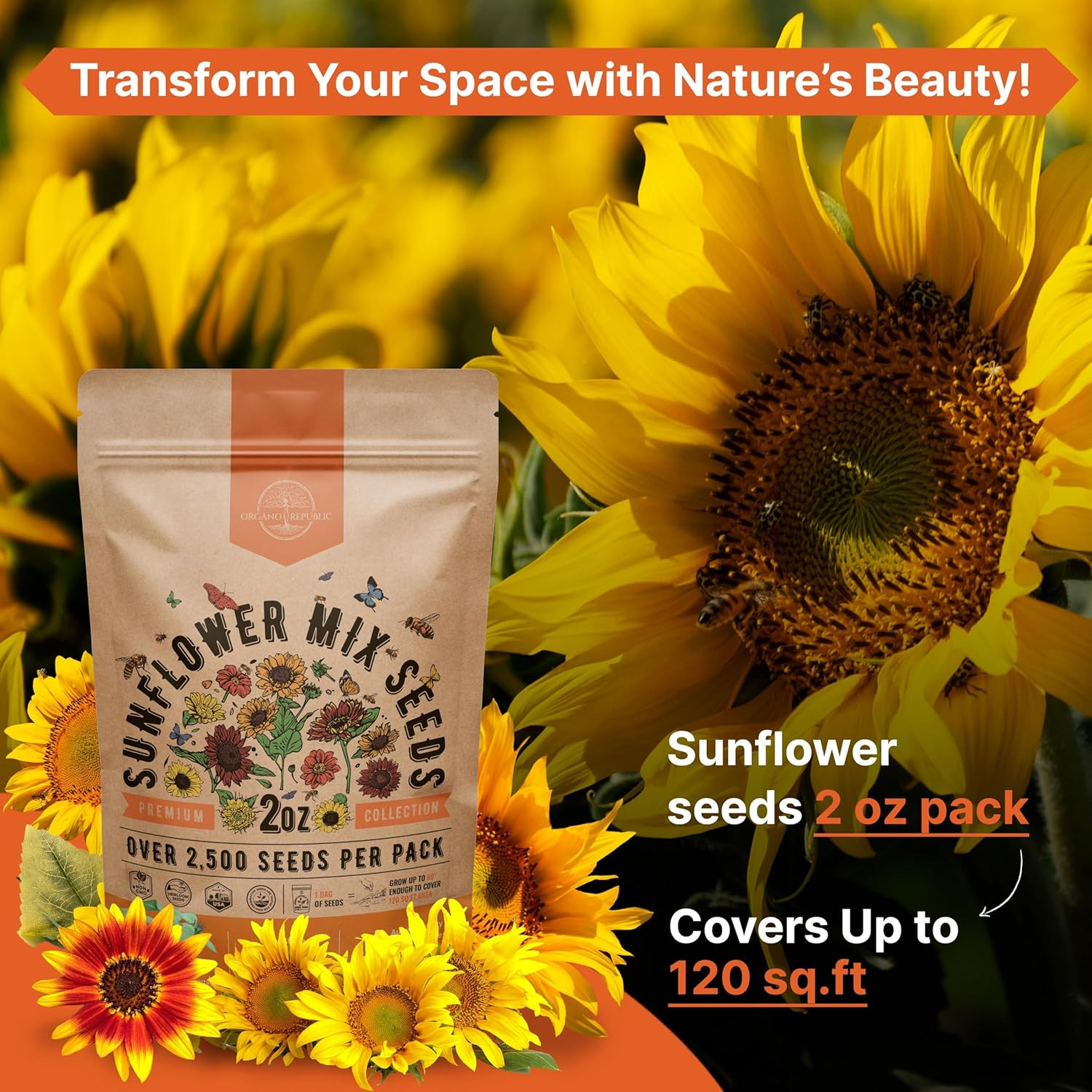 NonGMO Heirloom Sunflower Seeds for Planting Home Garden 2 oz Bag